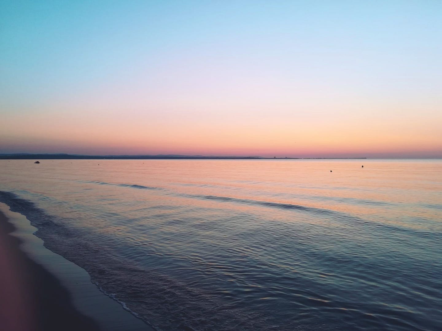 67871313_10215130146912958_3127045356118867968_o